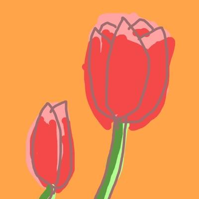 かべ☆さんのプロフィール画像