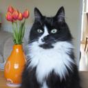 lynne lord - @lordygirl1 - Twitter