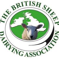 BSDA (@bsdasheep) 's Twitter Profile