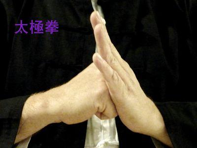 Sensei  HeiwaDo, KenJutsu e Iawasu, Shifu Qi gong y Tai Chi Chuan Instructor de DPP. Practicante de Okuden Kyusho..masajista  MTC, coach Kyurban defense