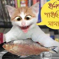 ishak007sarker Profile Picture