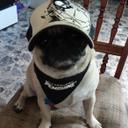 beth colvin - @hippychick36 - Twitter