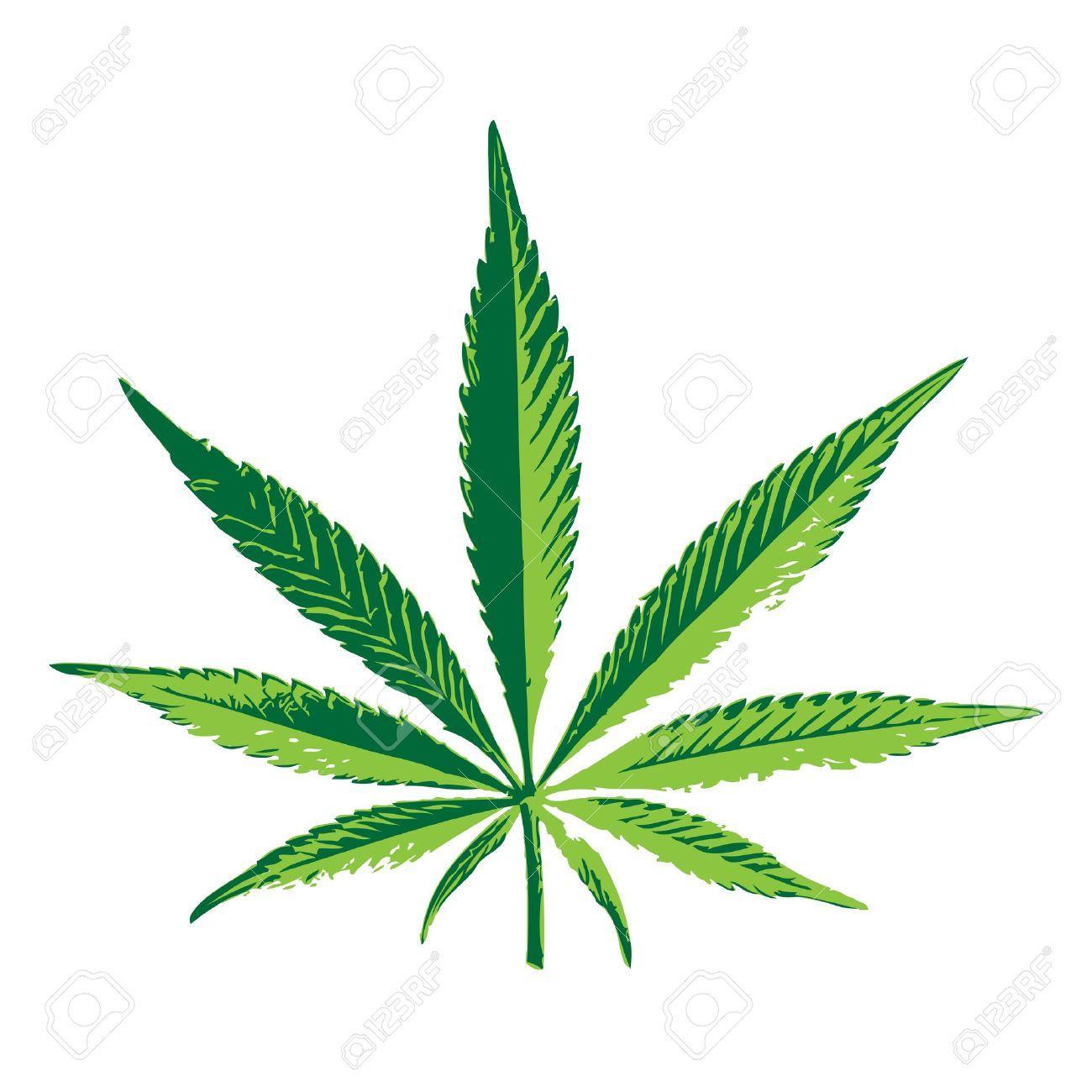 Facebook : The Great Weed Debate 2015