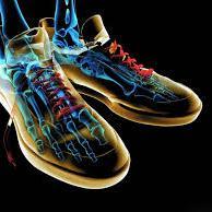 We work in 3d products