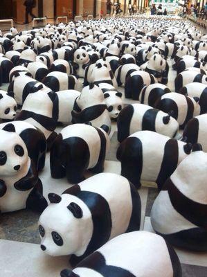 sothikelly's profile picture. 