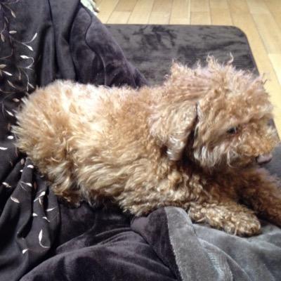 masatoshi0327's profile picture. 城南高校 製菓科 2年3組 フォローお願いします。