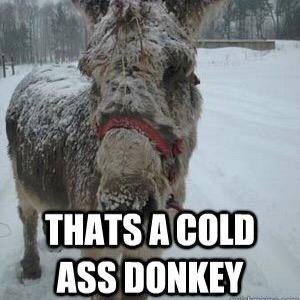 Spambot_3's profile picture. 