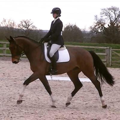 ElenaGPalmer's profile picture. 