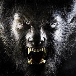 gregfee4's profile picture. 