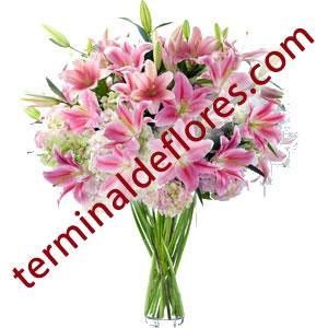 https://t.co/fHbjdL2htH Los Mejores en Precio y Calidad Orquideas, Rosas, Tulipanes y Más...