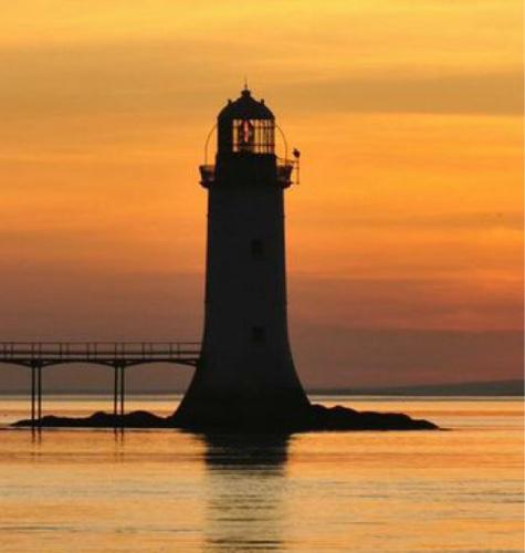 lhiston's profile picture. Common sense is not all that common!