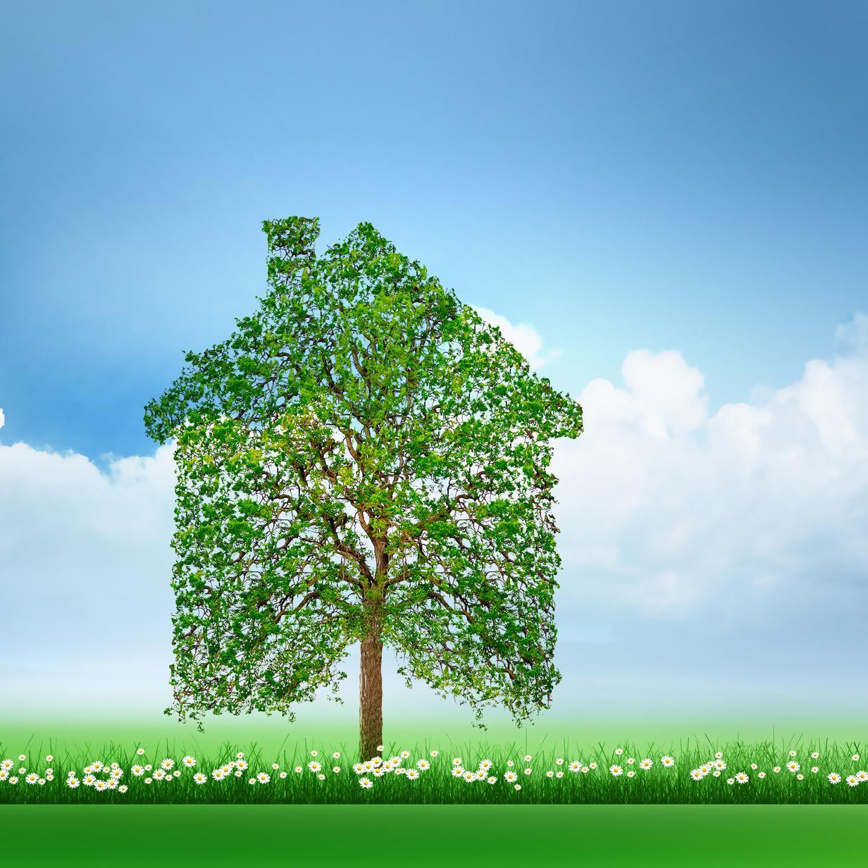 SostenibleHotel's profile picture. 