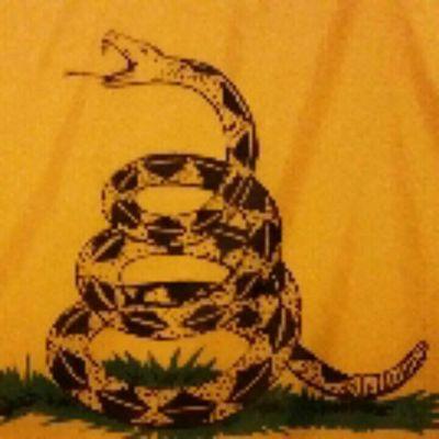 556x45totheface's profile picture. 