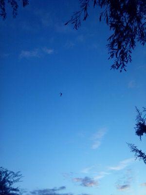 PatrioticHakim's profile picture. #AllahIsNotATerrorist, Enemy of Satan, Islamic Terrorists, Rush Limbaugh, & Ted Nugent!