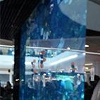 Rutk_Sergiy's profile picture. російський військовий корабель - йди нахуй