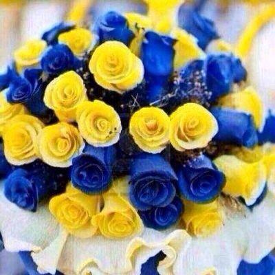 ‏النصر العالمي