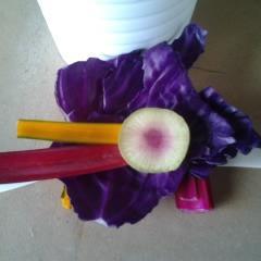 Kitchen gardener