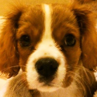 At StandardIssueUK. Top drawer online magazine & soon to be podcast for all women. https://t.co/INF9QBZir2