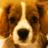 StandardSam's profile image