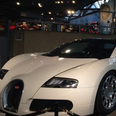 chipmunc123's profile picture. 