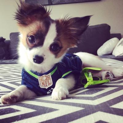 ImRuffellWilson's profile picture. 