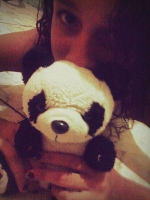 sou katy cats