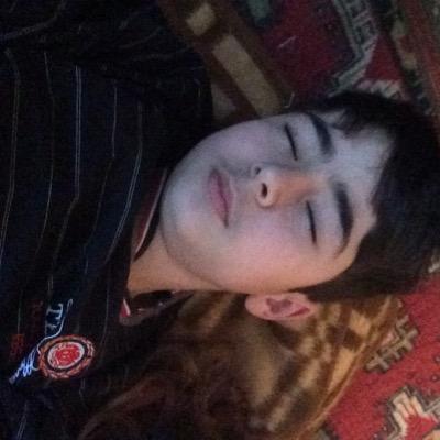 elmir