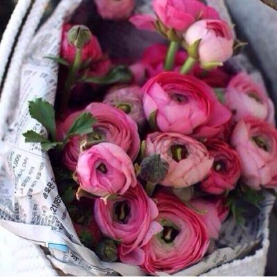 ♡{أسَتغفرالله وأَتوب إليِه}..♡🍃