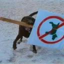 DanCyr - @DanCyr665 - Twitter