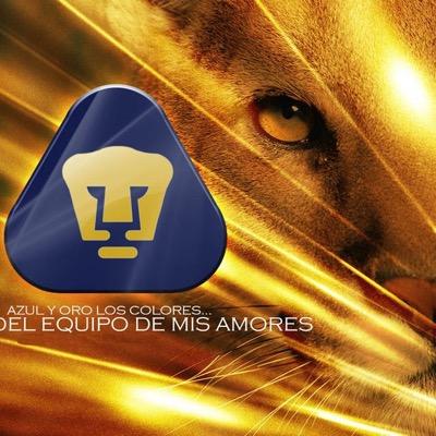 RomeoruRuiz's profile picture. 