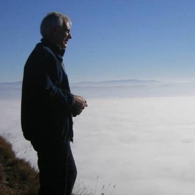 AndreuPujadas's profile picture. 