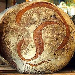#BREAD  #PAIN  #BROT  #PANE  #EKMEK  #ΨΩΜΊ  麵包  #THECITYGUIDES