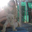 Gillian Harding - @gillharding - Twitter