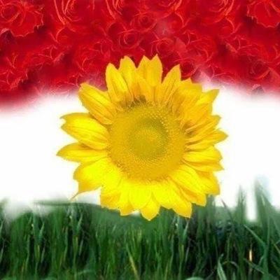 A secular, democratic, pluralist new state respecting human & women's & minority rights: KURDISTAN! #SupportKURDISTAN #TwitterKurds