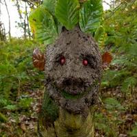 HW Forest School CIC (@hakefordwoods) 's Twitter Profile