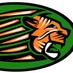 HorshamTigersTouch (@horshamtigers) Twitter profile photo