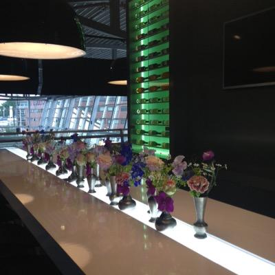 TulipInnEA's profile picture. 