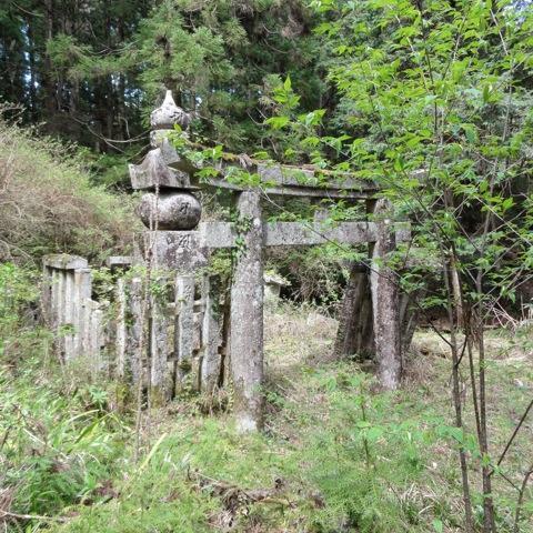 suspectC's profile picture. 