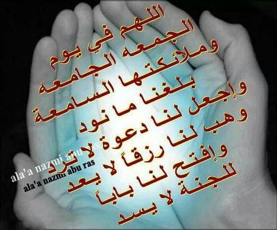 MlZeynab's profile picture. 