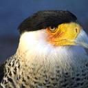 Maggie Meyer - @MeyerMaggie - Twitter