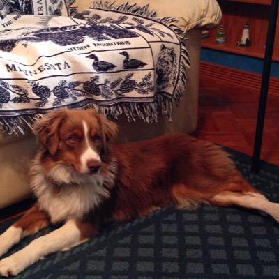 kw5980's profile picture. 