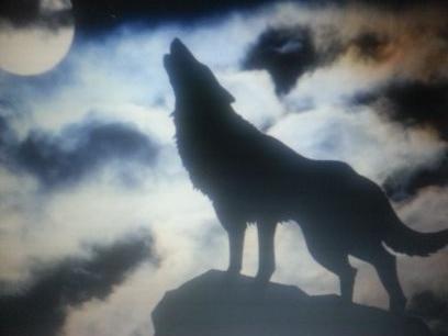 bbc50f02564b441's profile picture. Hi