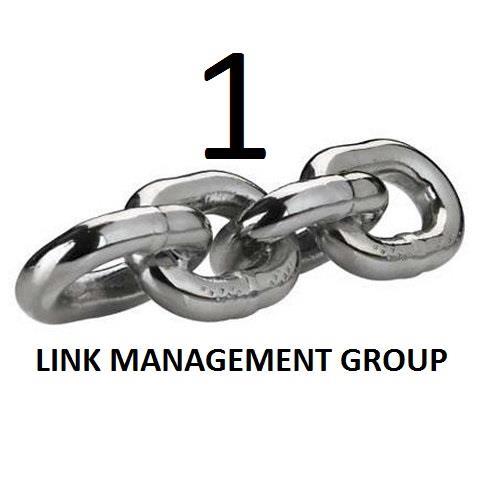 Business Inquiries: contact@1linkmanagementgroup.com