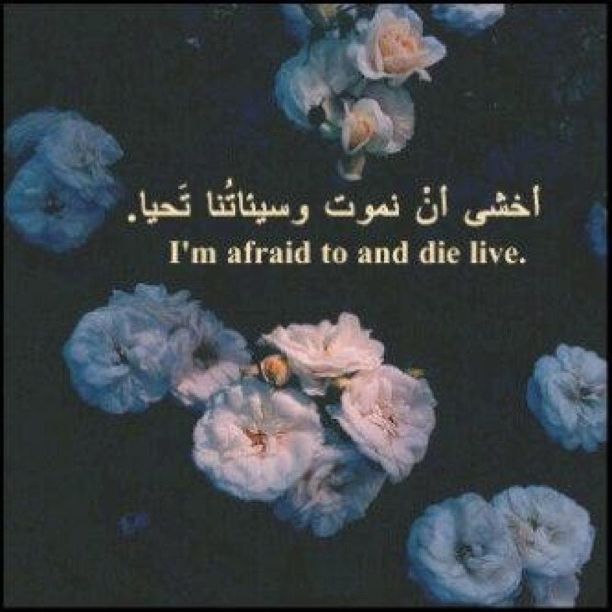 Al_bandri19 Profile Picture