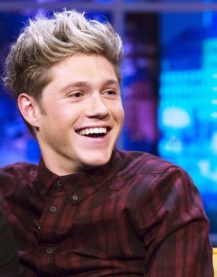 ♥ Estou esperando o Niall me pedir em namoro e depois casamento ♥