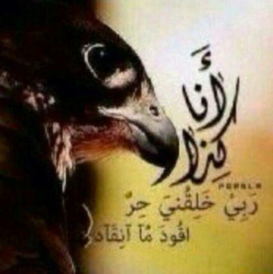 ‏‏‏‏‏‏‏‏جاد وحر