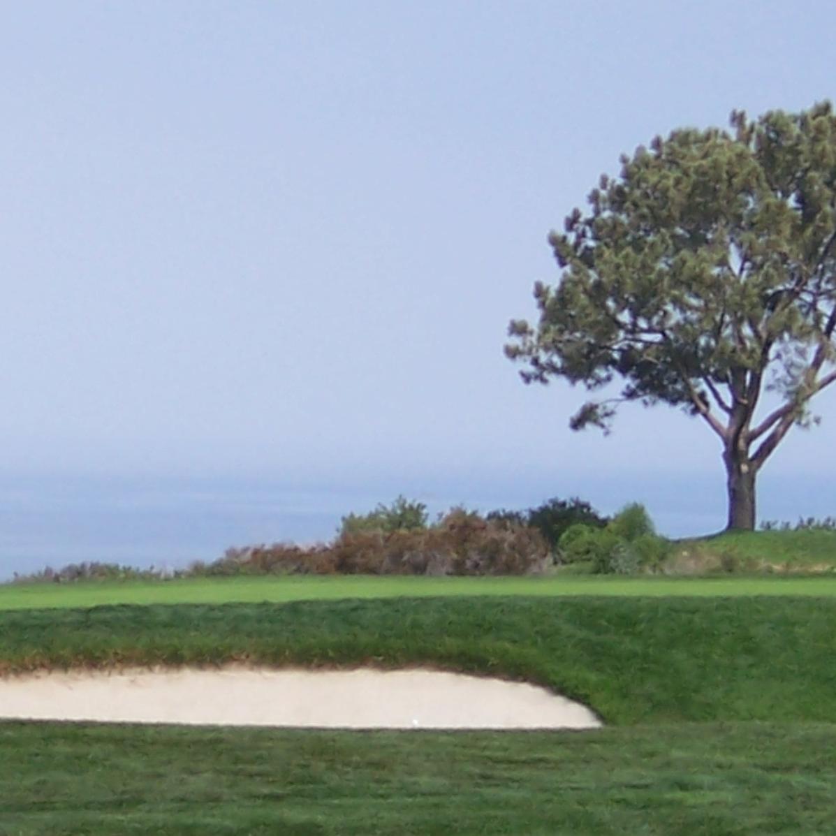 dave_verhulst's profile picture. 