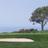 dave_verhulst's profile image