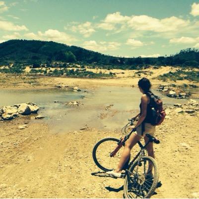 bishbashbash's profile picture. Post Production Coordinator