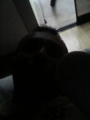 yulyleo2's profile picture. 